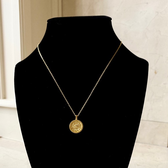 ZODIAC SIGN NECKLACES - Picture 4 of 7